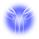 Immunology & Inflammation