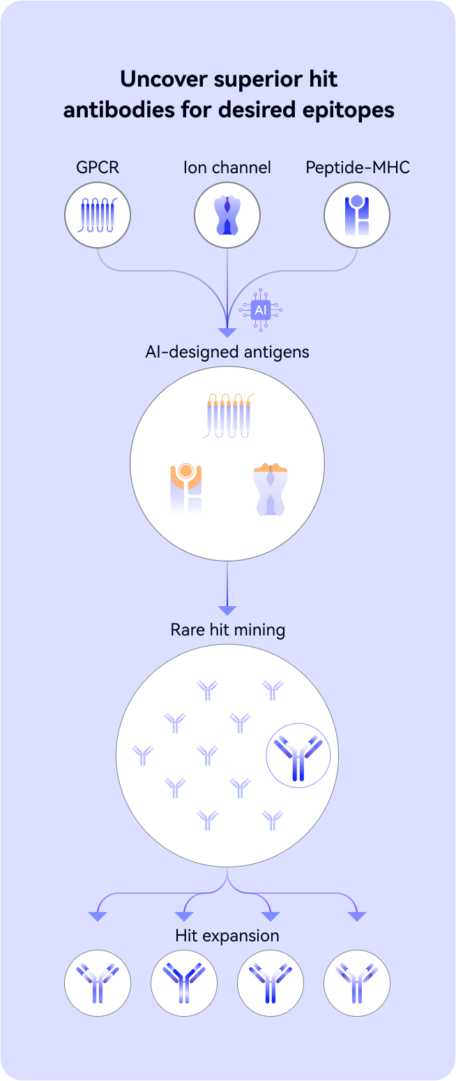 Uncover superior hit antibodies for desired epitopes